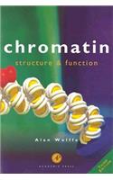 Chromatin