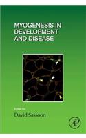Myogenesis in Development and Disease