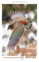 BRILLIANCE OF BIRDS
