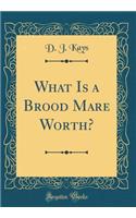 What Is a Brood Mare Worth? (Classic Reprint)