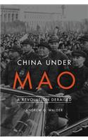 China Under Mao: A Revolution Derailed