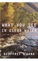 What You See in Clear Water