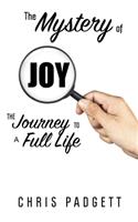 Mystery of Joy