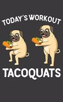 Today's Workout Tacoquats