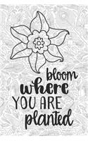 Bloom Where You Are Planted