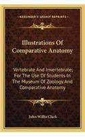 Illustrations of Comparative Anatomy