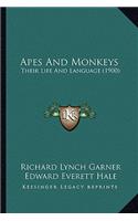 Apes And Monkeys