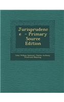 Jurisprudence - Primary Source Edition