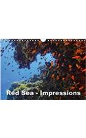 Red Sea - Impressions 2018