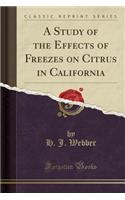 A Study of the Effects of Freezes on Citrus in California (Classic Reprint)