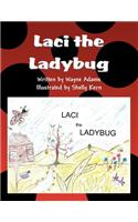 Laci the Ladybug