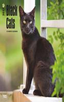 Black Cats 2017 Calendar