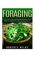 Foraging
