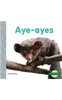 Aye-Ayes (Aye-Ayes)