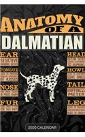 Anatomy Of A Dalmatian: Dalmatian 2020 Calendar - Customized Gift For Dalmatian Dog Owner