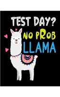 Test Day No Prob Llama