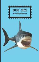 2020-2022 Monthly Planner