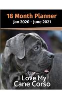Jan 2020 - June 2021 18 Month Planner: I Love My Cane Corso