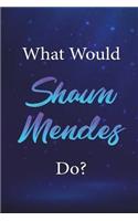 What Would Shawn Mendes Do?: Shawn Mendes Journal Diary Notebook for Girls