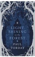 Light Shining in the Forest