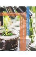 Plant Cell Biochemistry and Metabolism