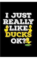 I Just Really Like Ducks Ok?: Blank Lined Journal to Write in - Ruled Writing Notebook