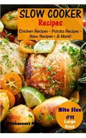 Slow Cooker Recipes - Bite Size #11