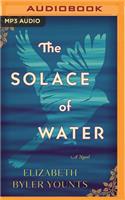 The Solace of Water