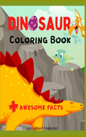 Dinosaur Coloring Book