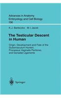 Testicular Descent in Human