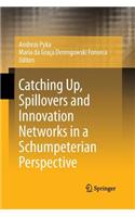 Catching Up, Spillovers and Innovation Networks in a Schumpeterian Perspective