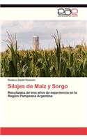 Silajes de Maiz y Sorgo