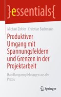 Produktiver Umgang Mit Spannungsfeldern Und Grenzen in Der Projektarbeit