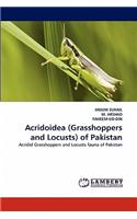 Acridoidea (Grasshoppers and Locusts) of Pakistan