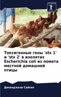 Токсигенные гены 'stx 1' и 'stx 2' в изолятах Escherichia coli из поме
