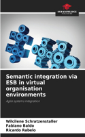 Semantic integration via ESB in virtual organisation environments