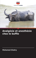 Analgésie et anesthésie chez le buffle