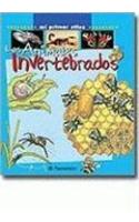 Loa Animales Invertebrados
