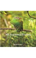 My Feathered Friends