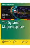 Dynamic Magnetosphere