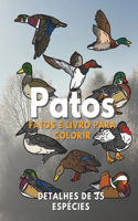 Patos: Fatos & Livro para Colorir: para crianças dos 2 aos 16 anos