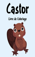 Castor Livre de Coloriage