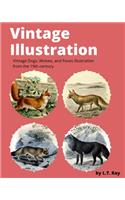 Vintage Illustration