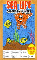 Sea Life Colour By Number