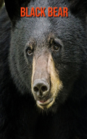 Black Bear
