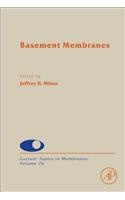 Basement Membranes