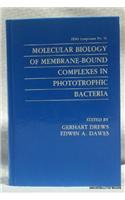 Molecular Biology of Membrane-Bound Complexes in Phototrophic Bacteria