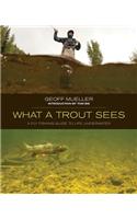 What a Trout Sees