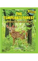 Temperate Forest