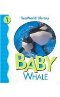 Baby Whale